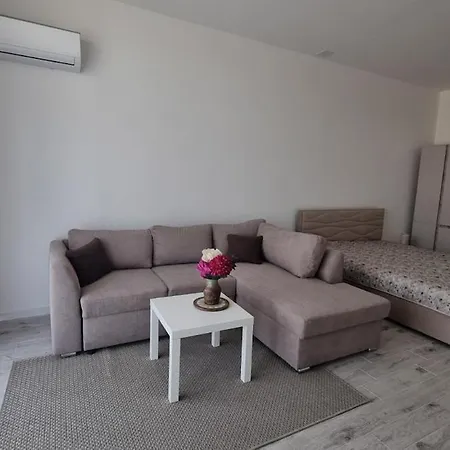 Apartament Near North *